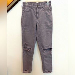 American Eagle Faded Gray/Light Purple Distressed Size 2 Long Mom Jeans